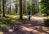 073-jak-zadbac-o-komfort-pieszych-wedrowek-z-psem.webp