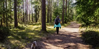 073-jak-zadbac-o-komfort-pieszych-wedrowek-z-psem.webp